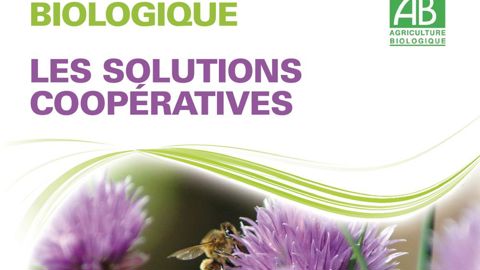 Ce théma regroupe 23 témoignages de coopératives de toutes les filières.